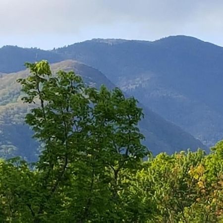Mountain Serenity Гетлинбург Екстериор снимка